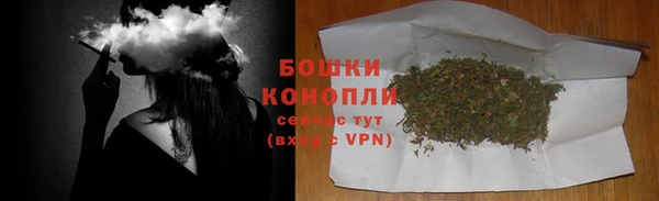 ALPHA PVP Белокуриха