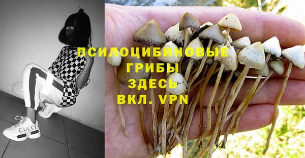 ALPHA PVP Белокуриха