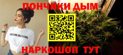 тгк Бийск