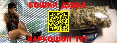 тгк Бийск