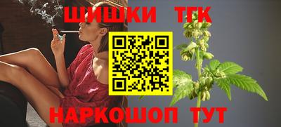 тгк Бийск