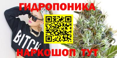 тгк Бийск