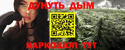 тгк Бийск