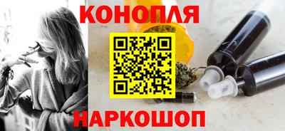 тгк Бийск