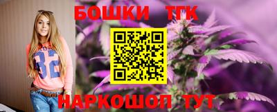тгк Бийск