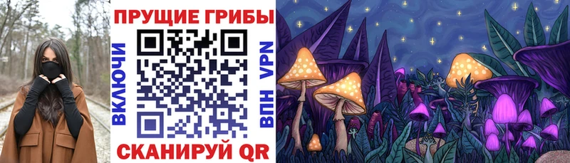 Псилоцибиновые грибы GOLDEN TEACHER  купить наркотик  Воскресенск 