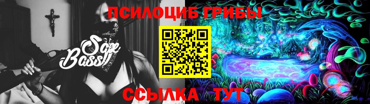 Воскресенск  Псилоцибиновые грибы Cubensis  Вход с VPN 